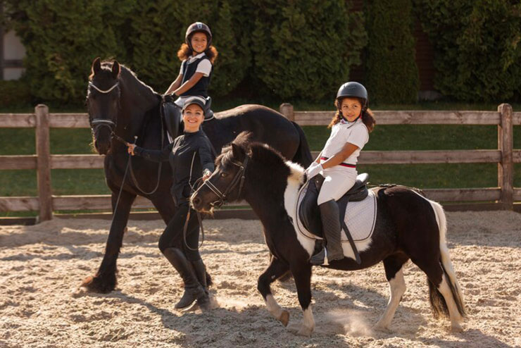 Experience the elegance and thrill of horse riding at our picturesque equestrian club. Our expert instructors and well-trained horses ensure a safe and enjoyable training for the riders of all levels. 